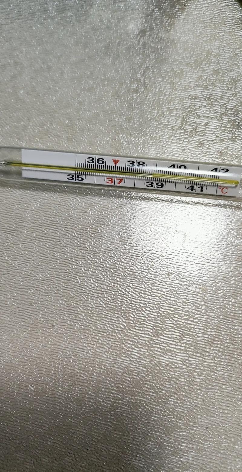 高烧