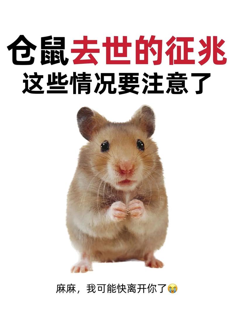 征兆