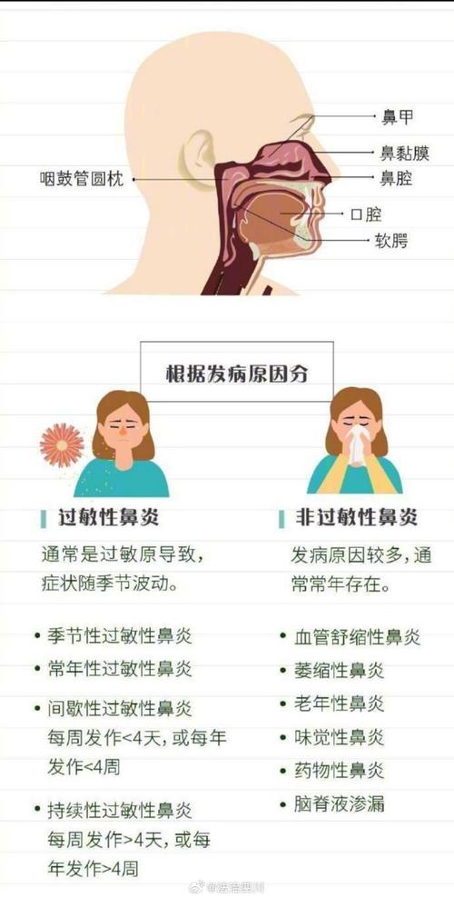 <春季过敏性鼻炎>