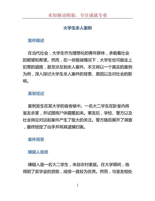 案例