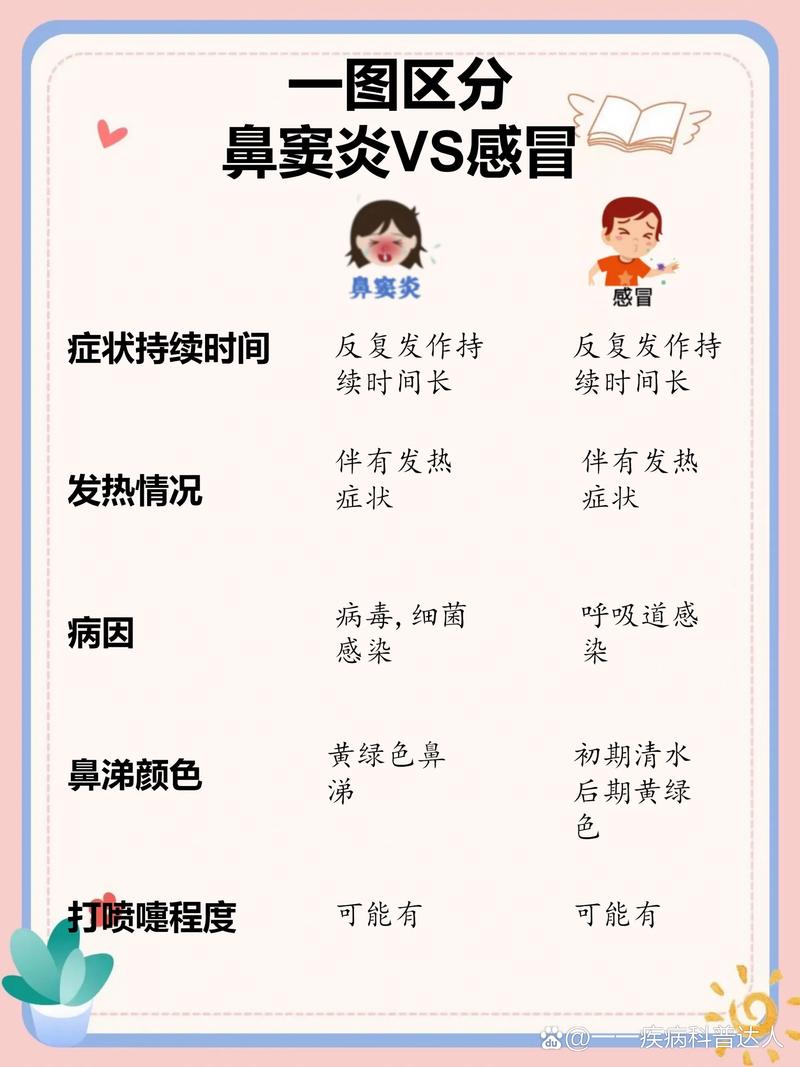 过敏性鼻炎与疾病之间的关联