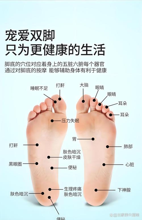 按摩脚底可以治愈鼻炎吗？