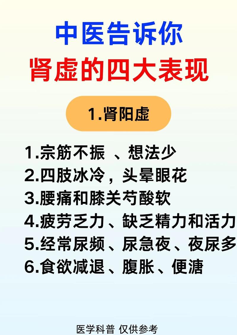 中医肾虚